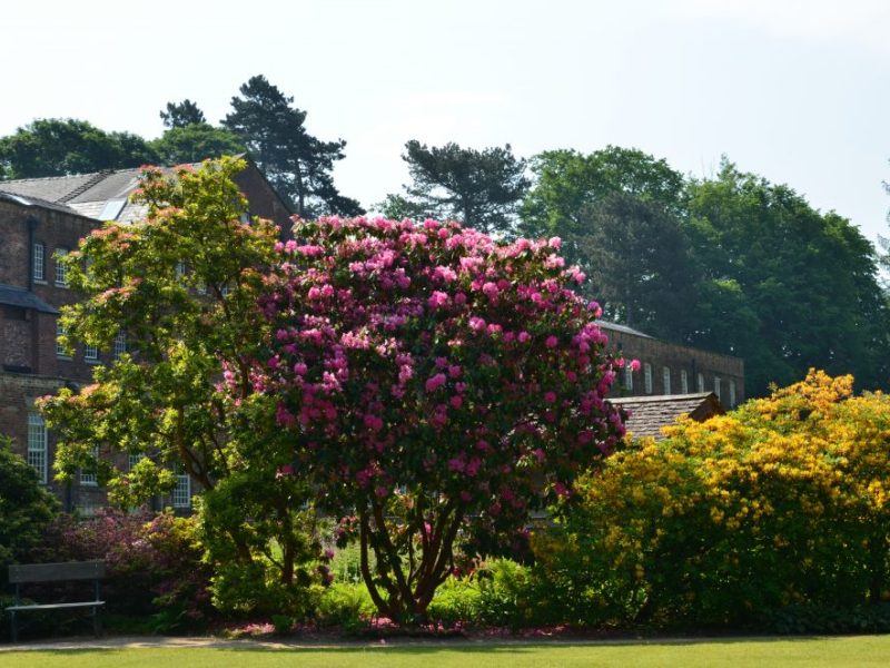 Visiting Quarry Bank Mill – Cheshire,&nbsp;England