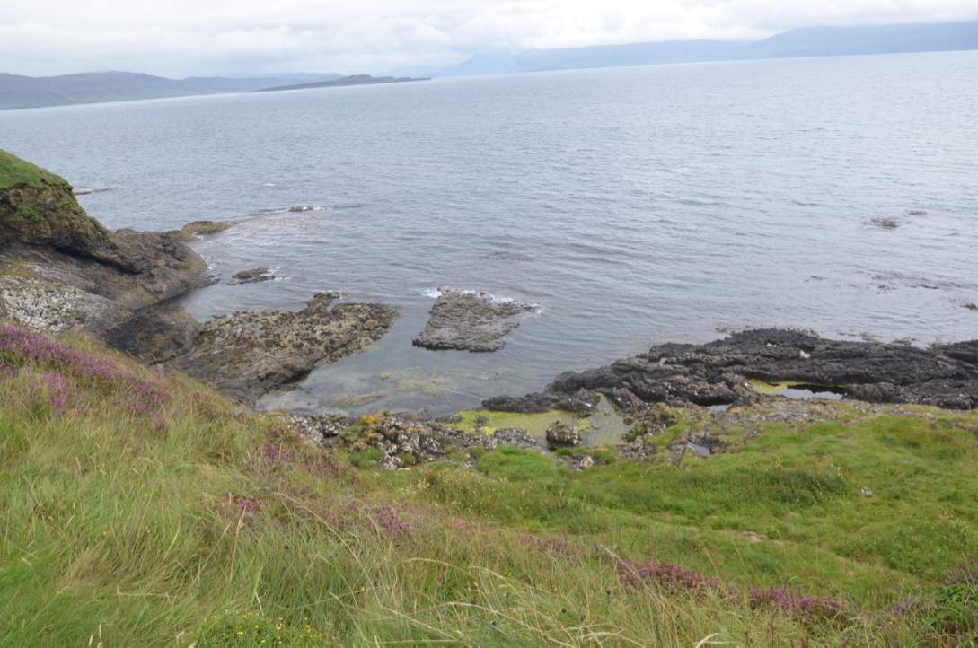 UNADJUSTEDNONRAW_thumb_8f98