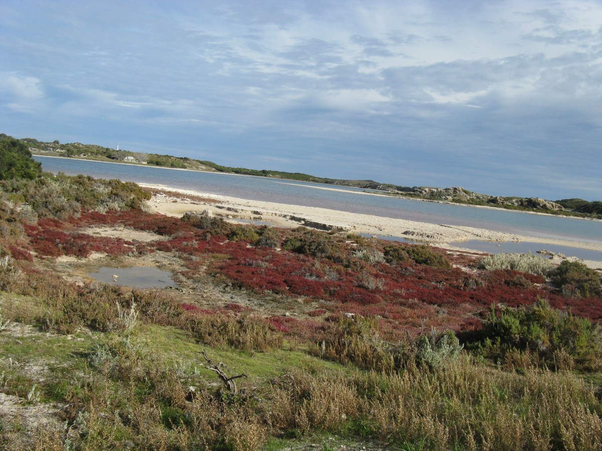 Un weekend sur l’île de Rottnest – Perth,&nbsp;Australie