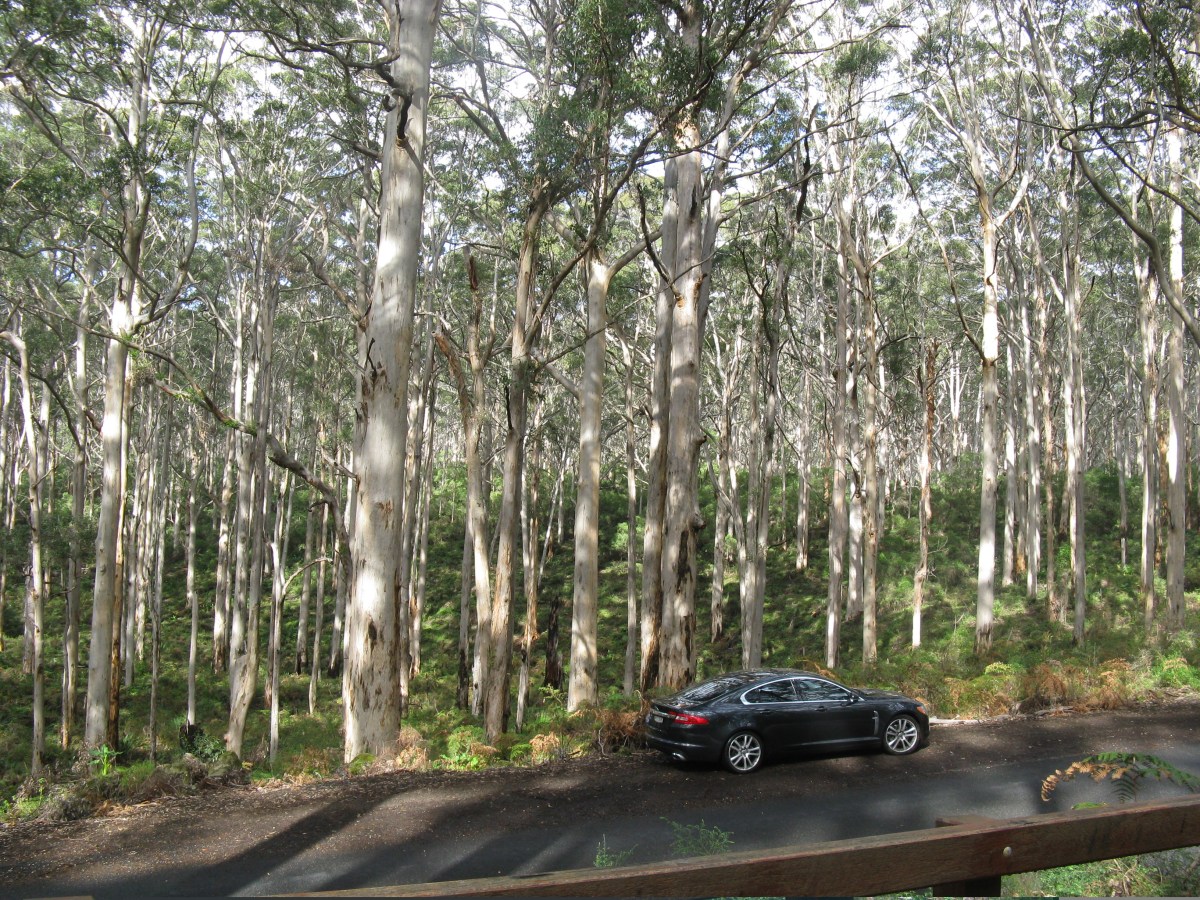 Visiter Margaret River,&nbsp;Australie