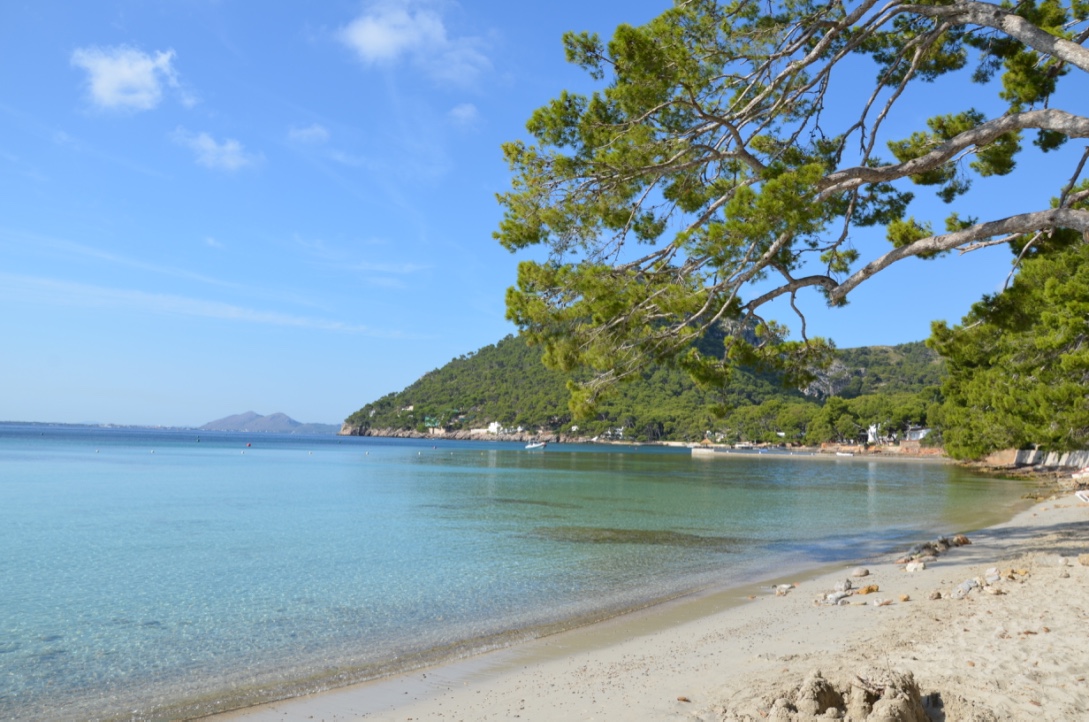 UNADJUSTEDNONRAW_thumb_84a1