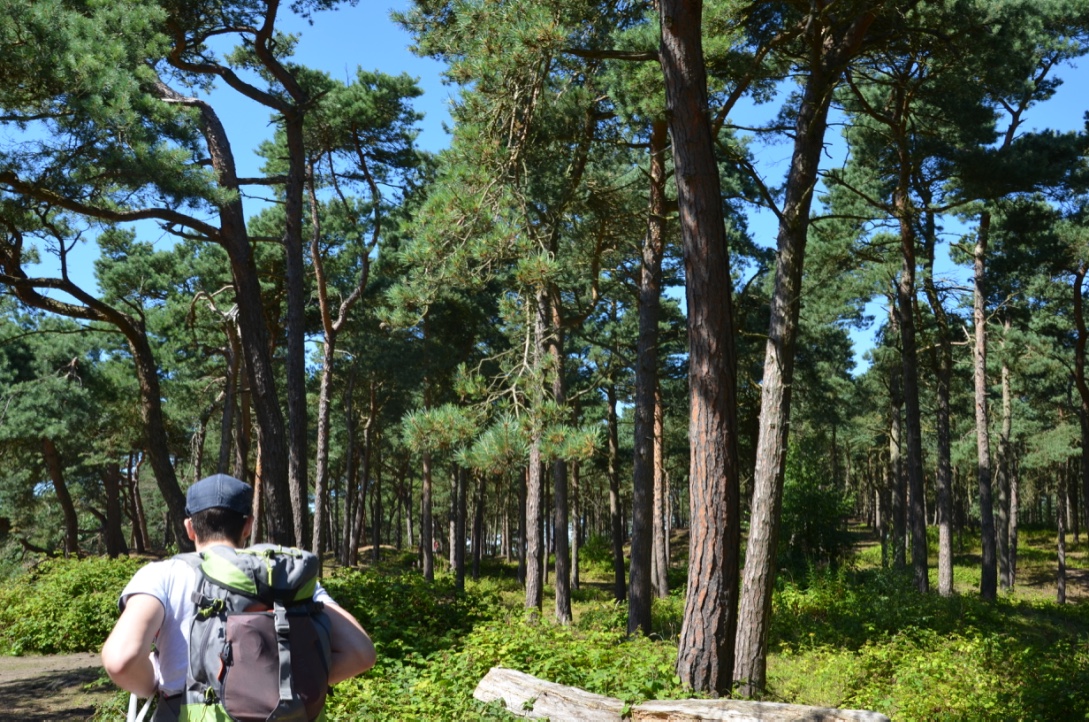 UNADJUSTEDNONRAW_thumb_8558