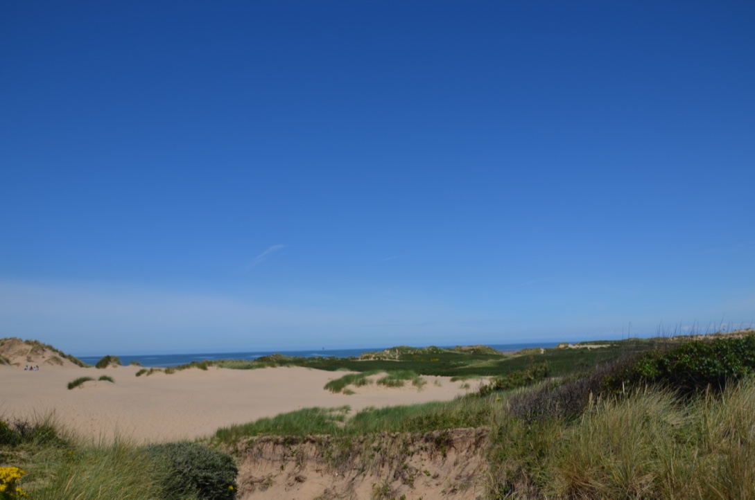 UNADJUSTEDNONRAW_thumb_855b