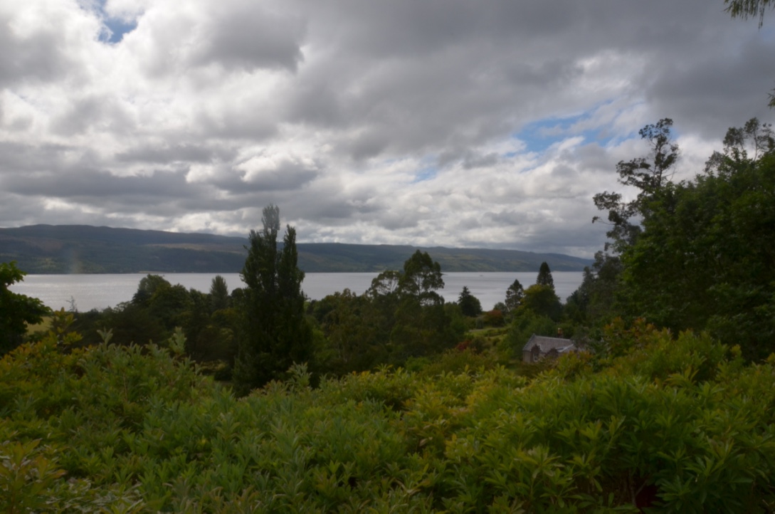 UNADJUSTEDNONRAW_thumb_8fb3