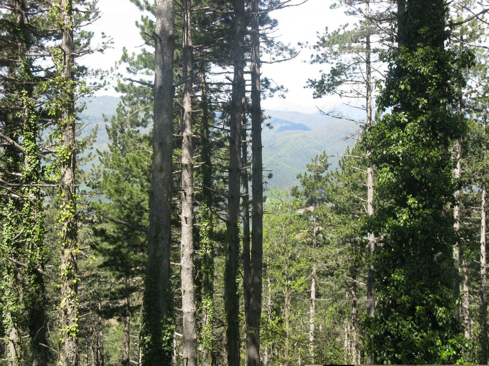 420673_10201001009485388_1605245381_n