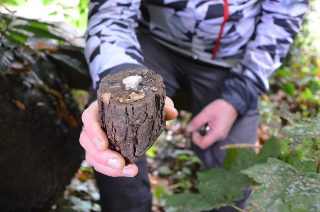 UNADJUSTEDNONRAW_thumb_989c