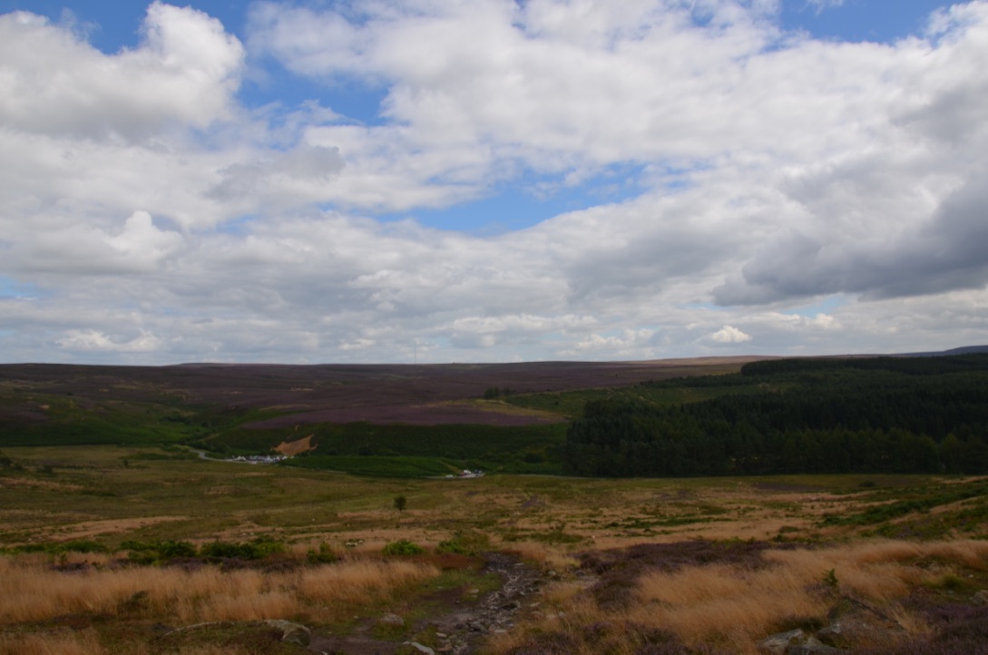 UNADJUSTEDNONRAW_thumb_9901