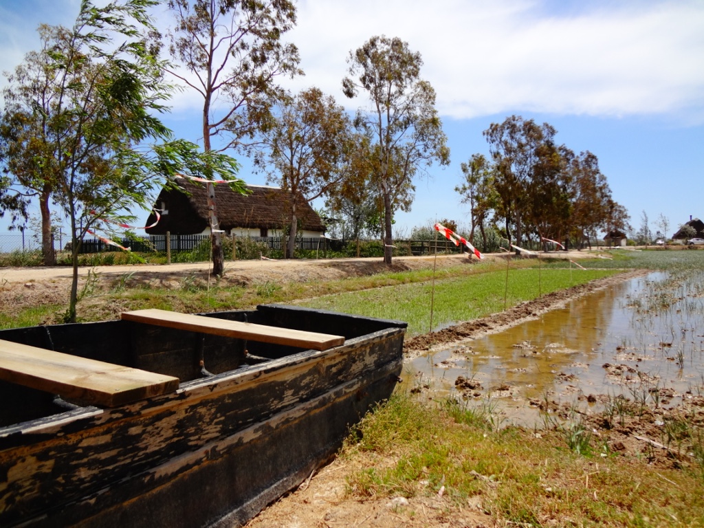 UNADJUSTEDNONRAW_thumb_7be8