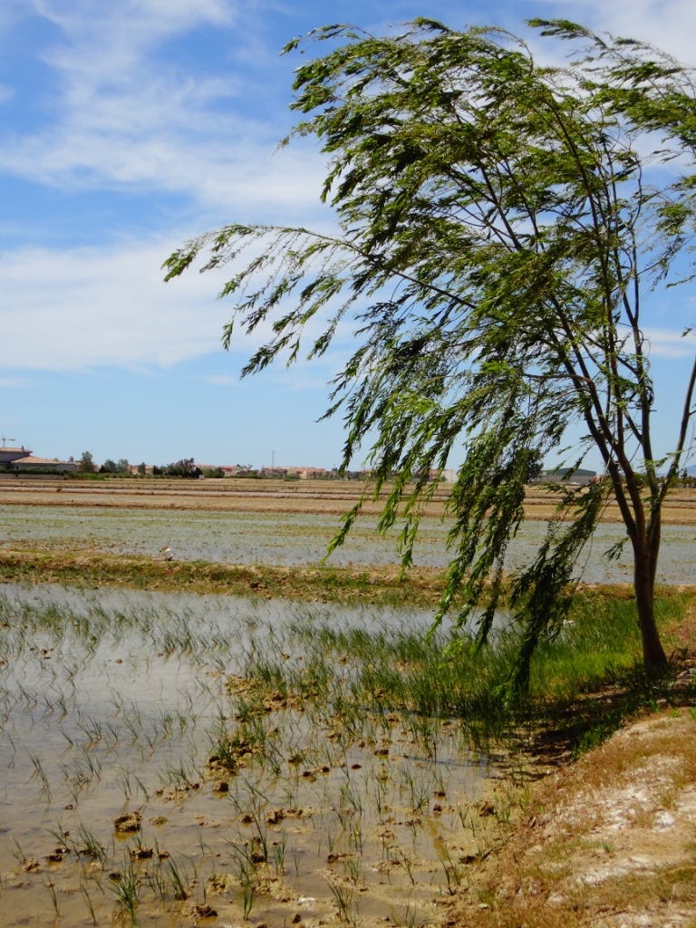 UNADJUSTEDNONRAW_thumb_7be9