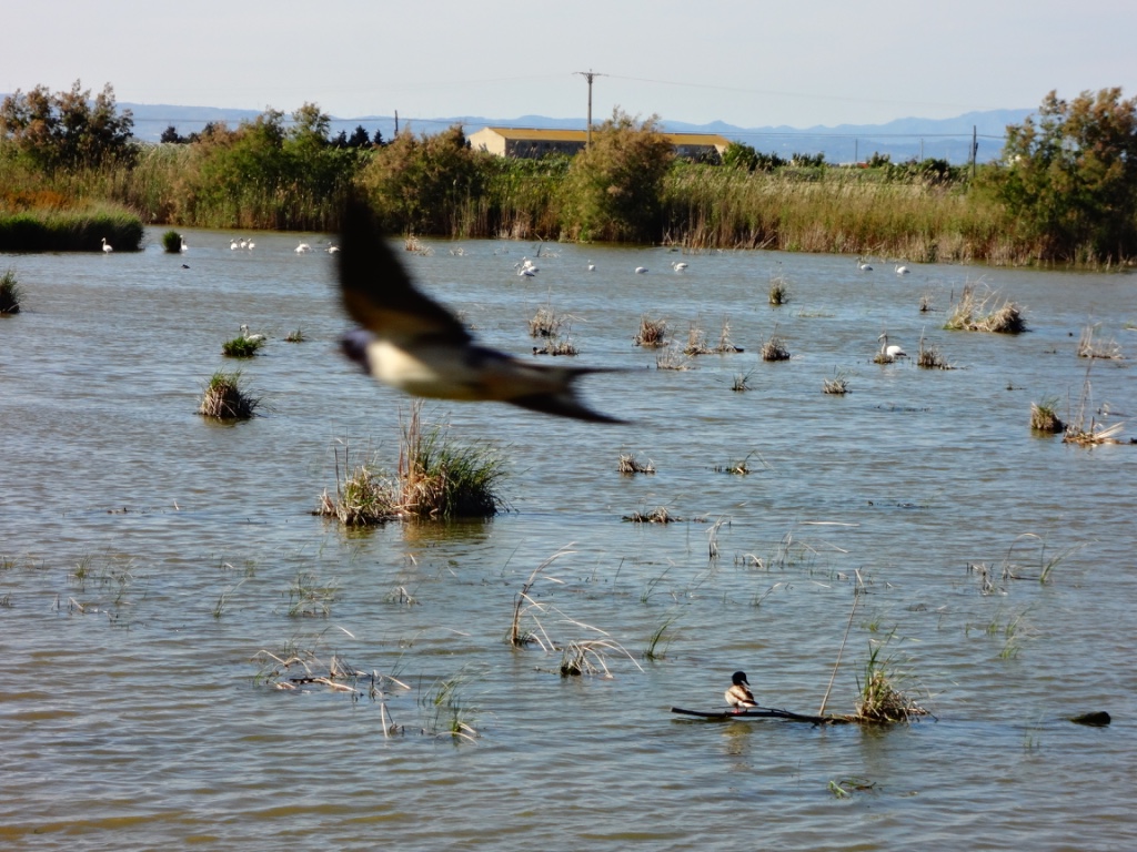 UNADJUSTEDNONRAW_thumb_7c71