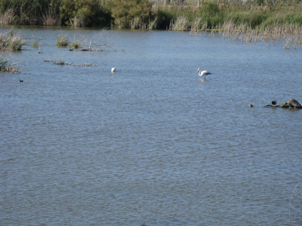 UNADJUSTEDNONRAW_thumb_7de0