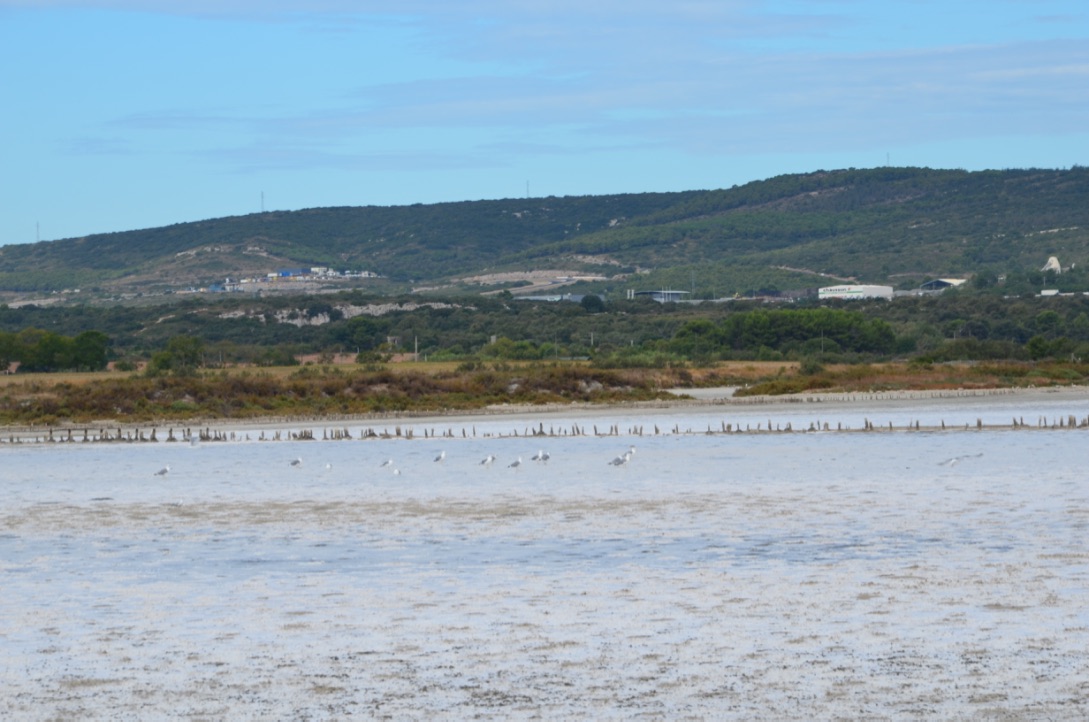 UNADJUSTEDNONRAW_thumb_9a9f