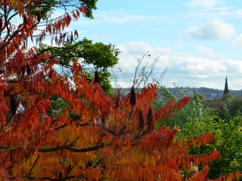 A day visiting Sheffield –&nbsp;England