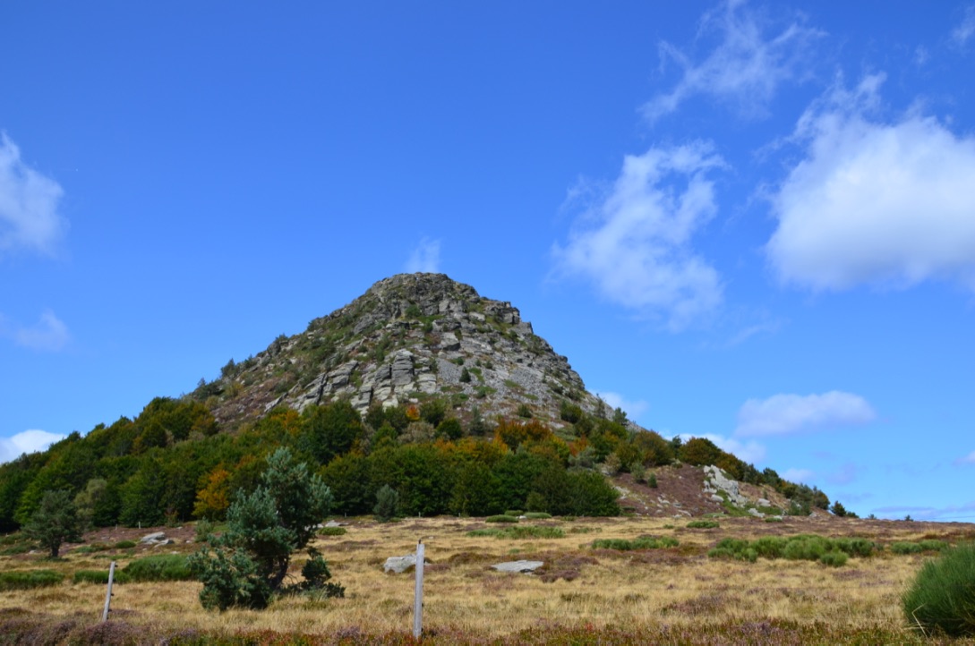 UNADJUSTEDNONRAW_thumb_9b1a