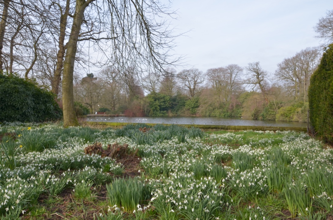 UNADJUSTEDNONRAW_thumb_8a78