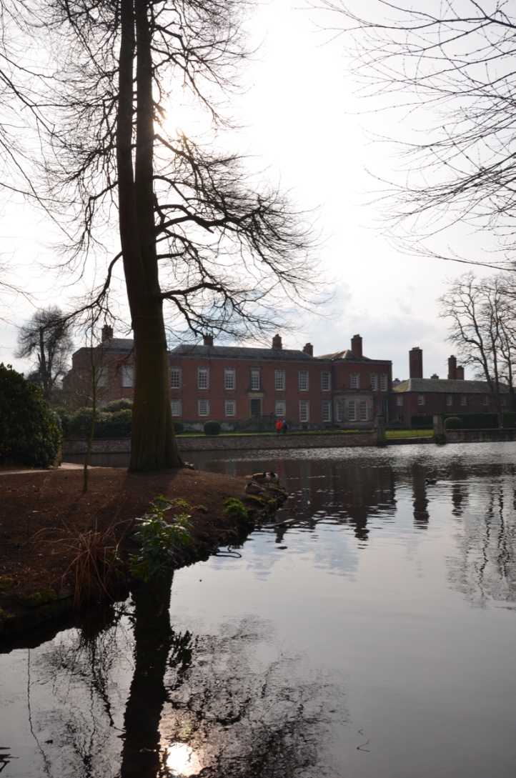 UNADJUSTEDNONRAW_thumb_8a7c