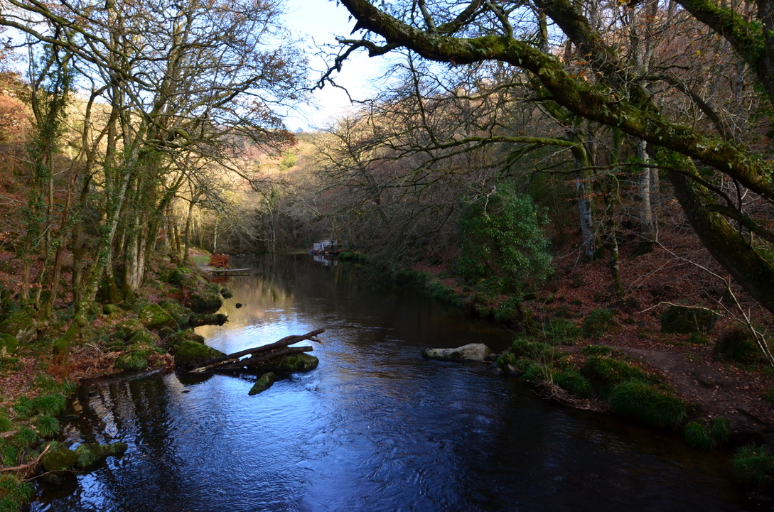 UNADJUSTEDNONRAW_thumb_9db8