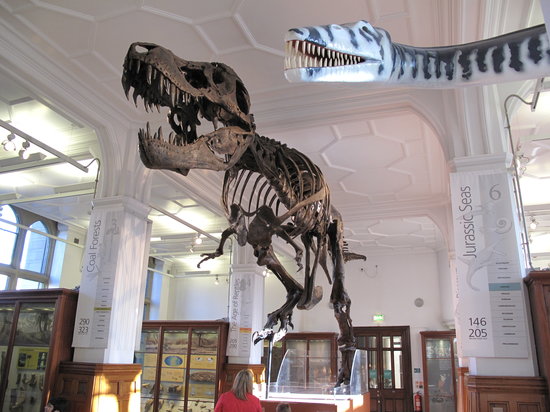 t-rex-and-plesiosaur
