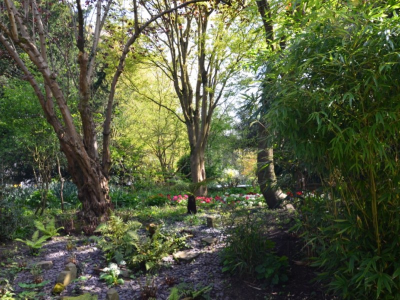 Three parks for walking in Manchester,&nbsp;England