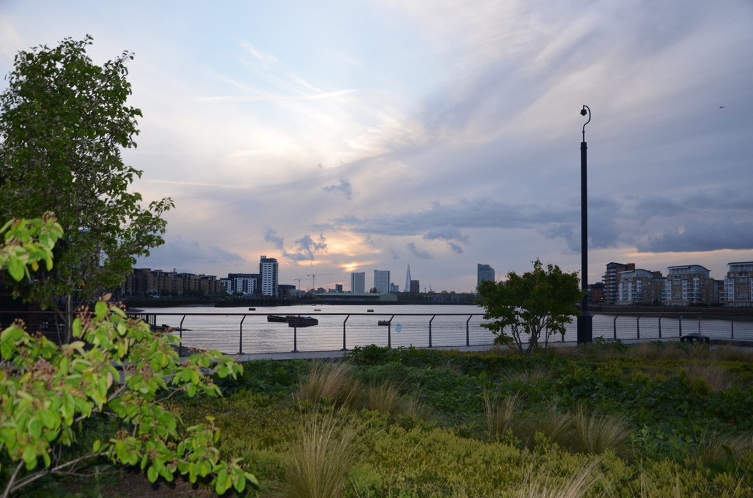 UNADJUSTEDNONRAW_thumb_584