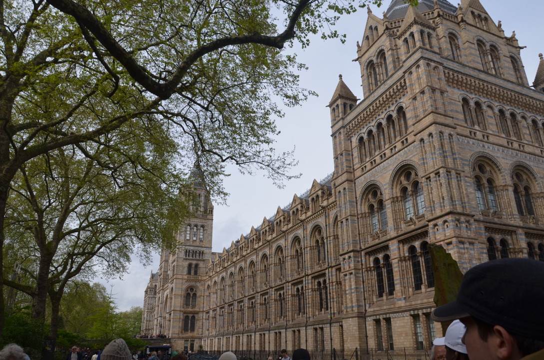 UNADJUSTEDNONRAW_thumb_5a4