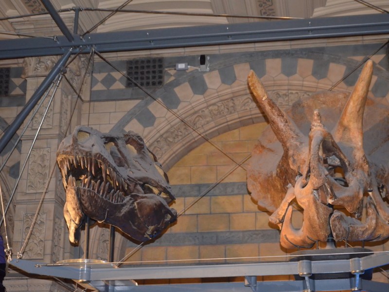 London- Natural History Museum and Camden&nbsp;Town