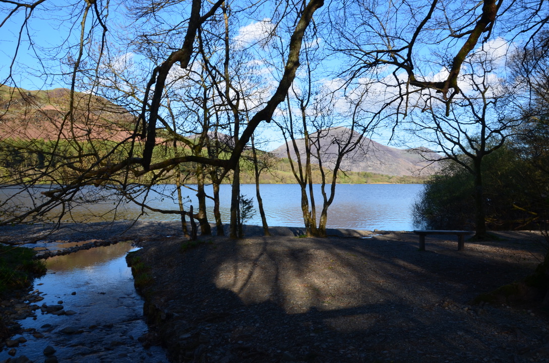 UNADJUSTEDNONRAW_thumb_617