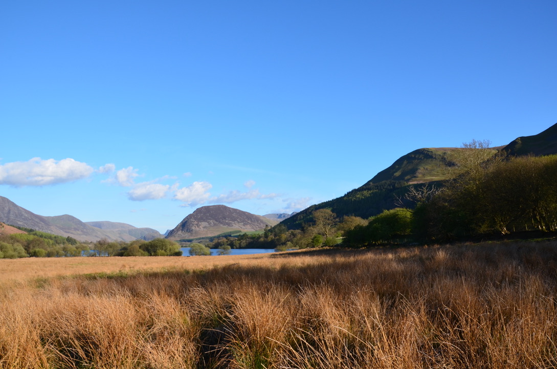 UNADJUSTEDNONRAW_thumb_61a