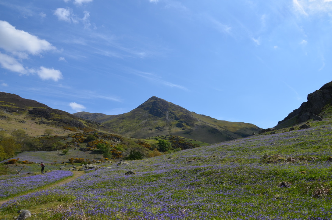 UNADJUSTEDNONRAW_thumb_747