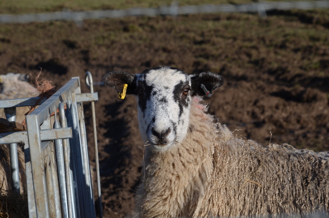 UNADJUSTEDNONRAW_thumb_9ef4