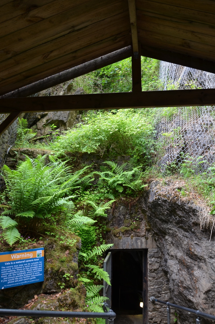 UNADJUSTEDNONRAW_thumb_817