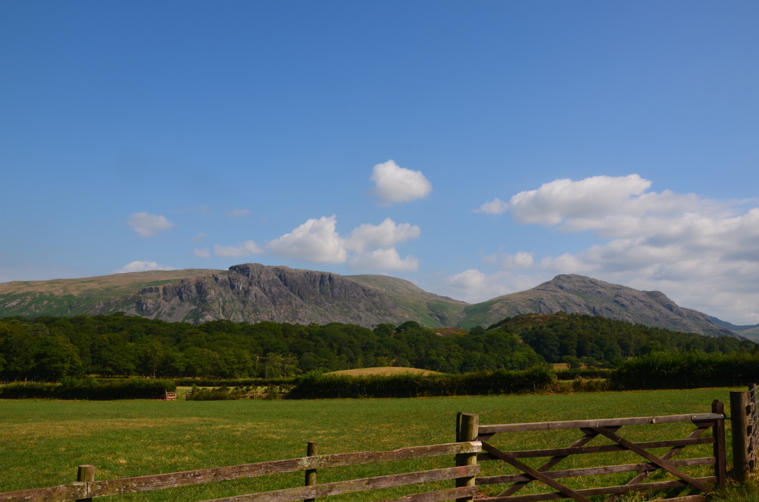 UNADJUSTEDNONRAW_thumb_872