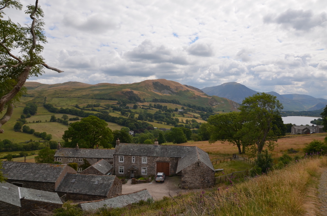 UNADJUSTEDNONRAW_thumb_8b0