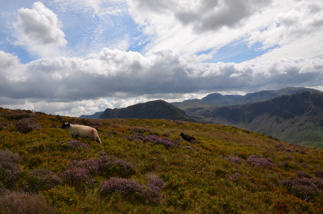 UNADJUSTEDNONRAW_thumb_920