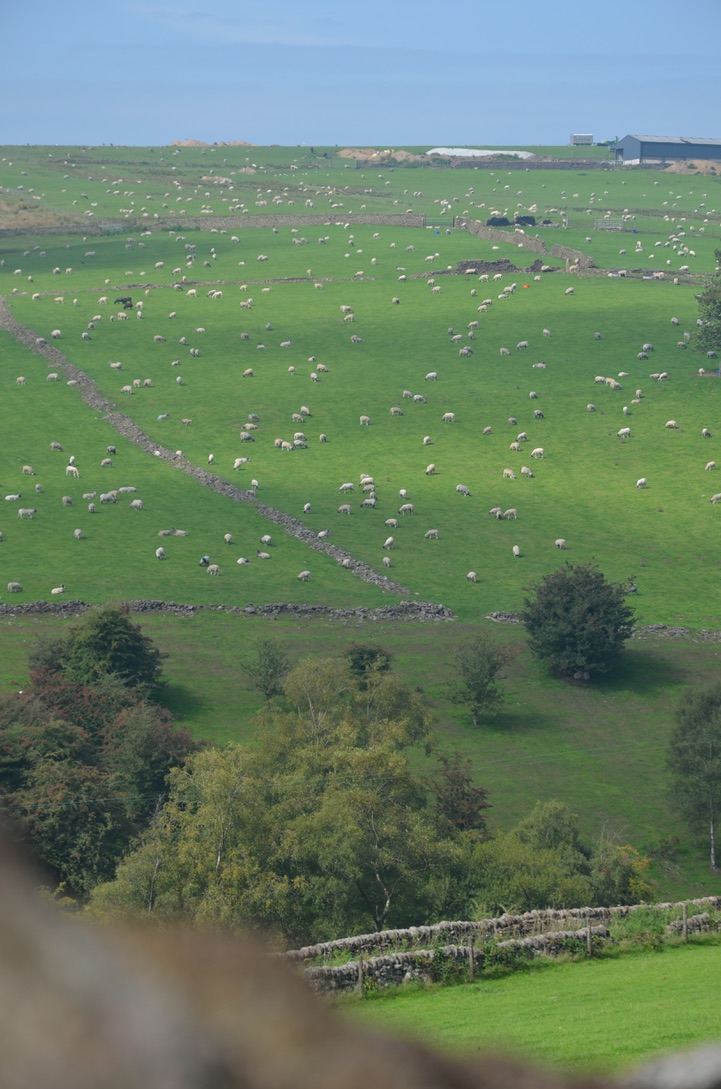 UNADJUSTEDNONRAW_thumb_974