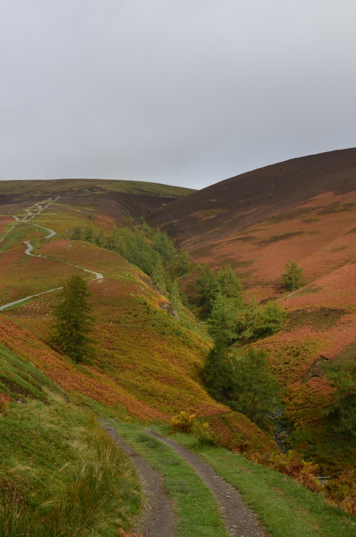 UNADJUSTEDNONRAW_thumb_a03