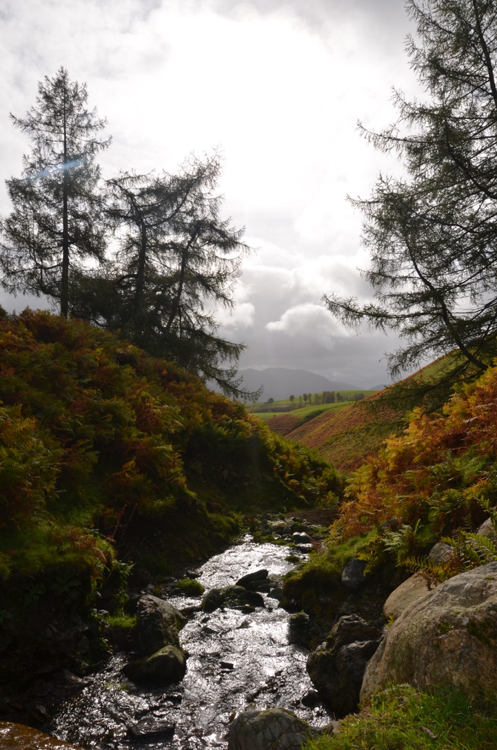 UNADJUSTEDNONRAW_thumb_a06