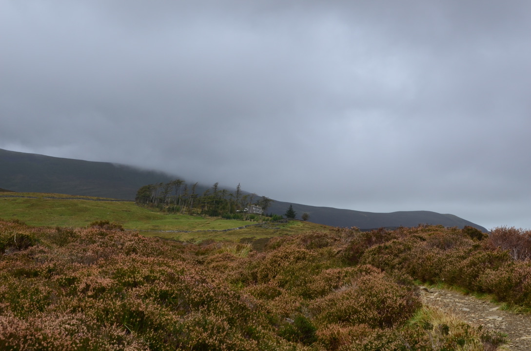 UNADJUSTEDNONRAW_thumb_a1c