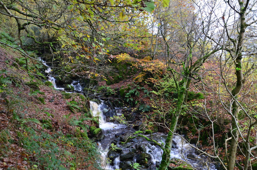 UNADJUSTEDNONRAW_thumb_b70