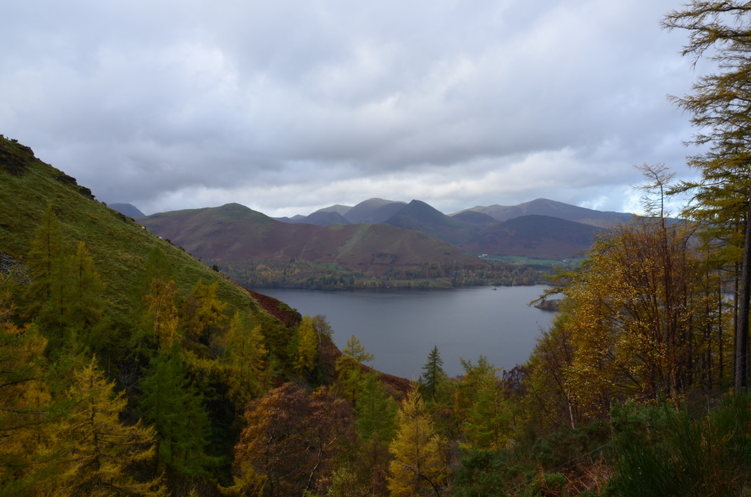 UNADJUSTEDNONRAW_thumb_b74