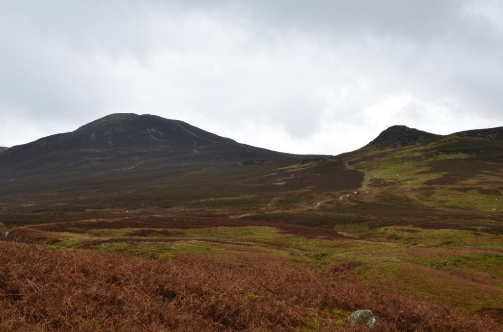 View of Blueberry Fell summit