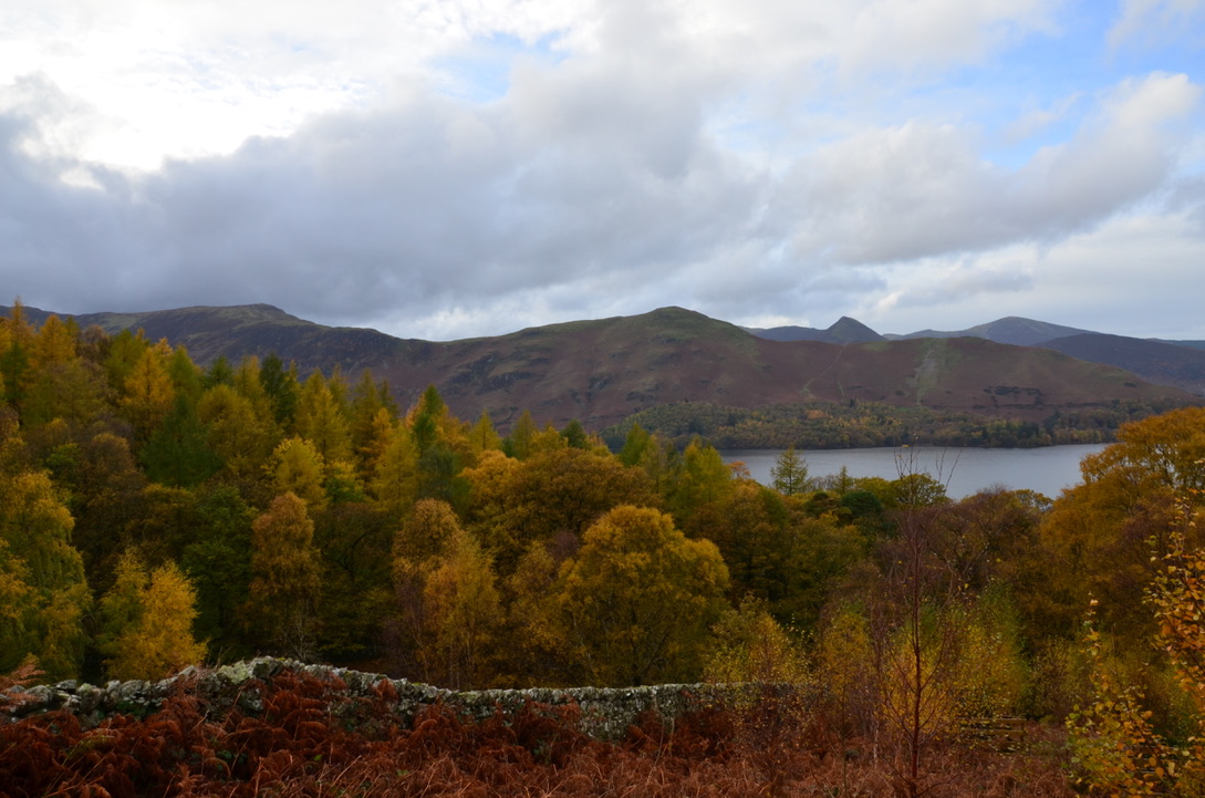 UNADJUSTEDNONRAW_thumb_b91