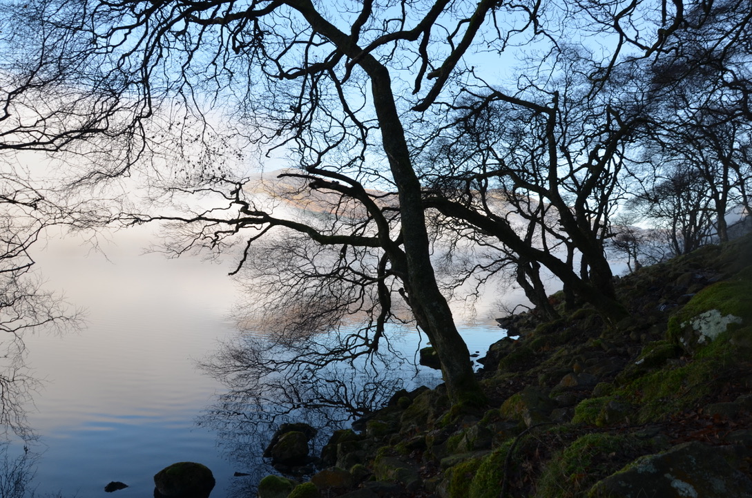 UNADJUSTEDNONRAW_thumb_bb9