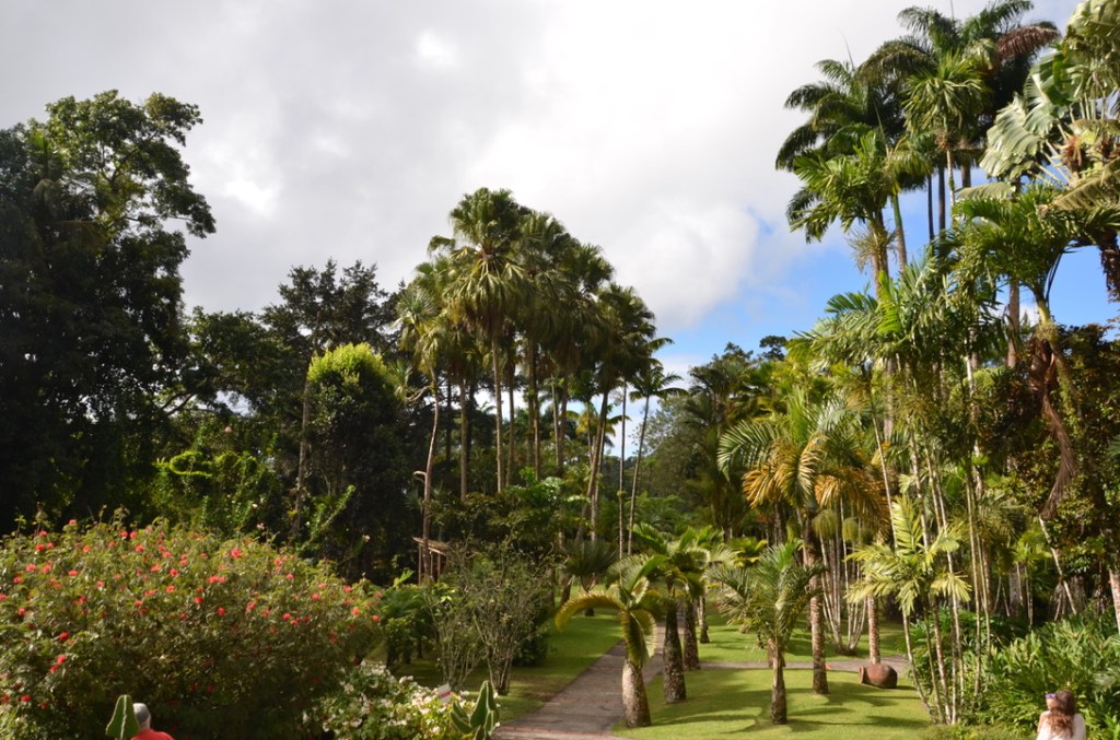 Jardin de Balata, Martinique