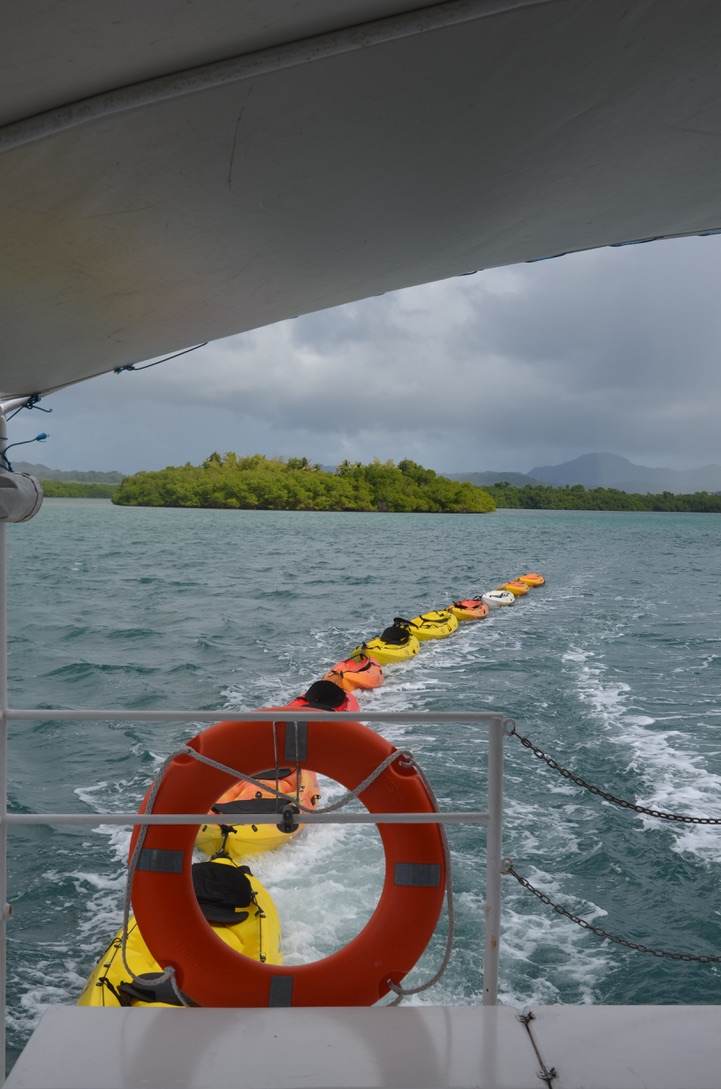 Sortie kayak Martinique