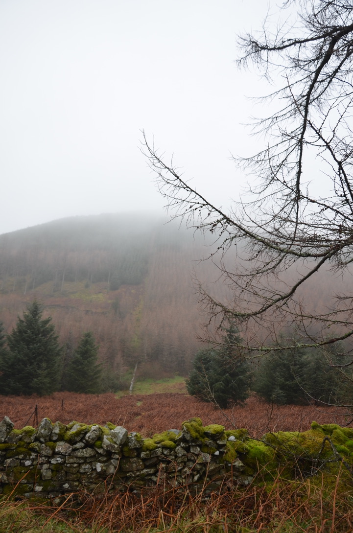 unadjustednonraw_thumb_f6e