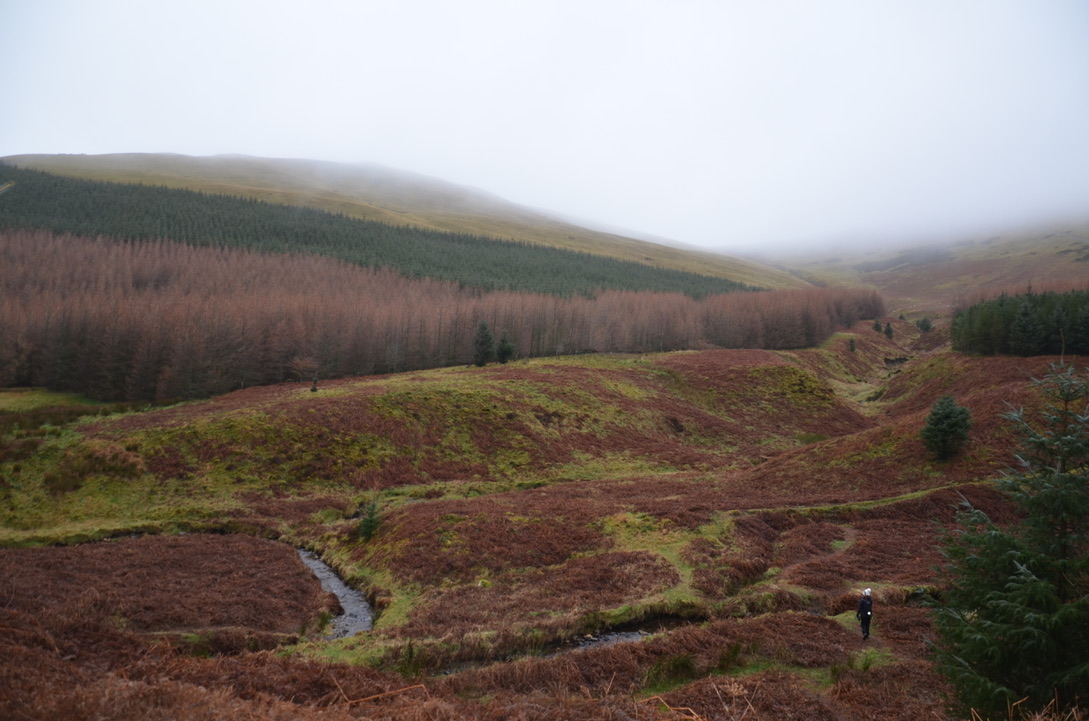 unadjustednonraw_thumb_f72