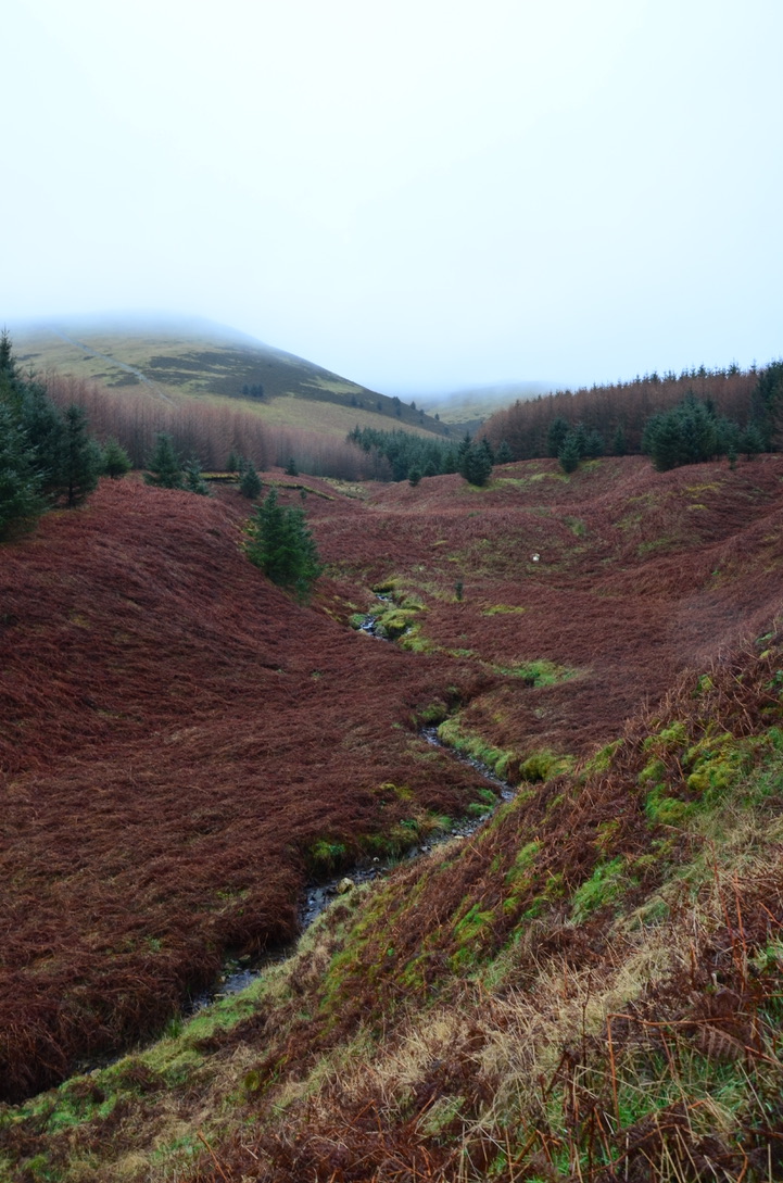 unadjustednonraw_thumb_f75