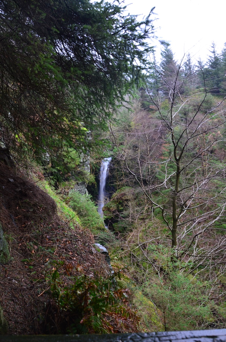 unadjustednonraw_thumb_f77