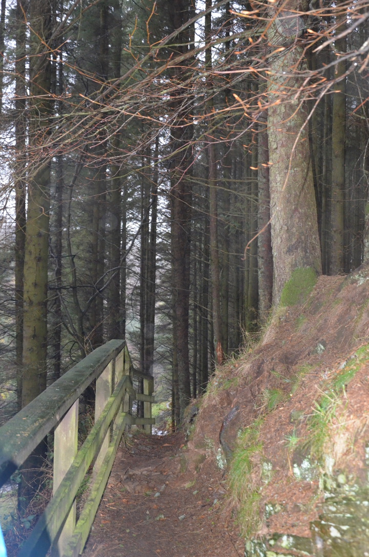 unadjustednonraw_thumb_f79